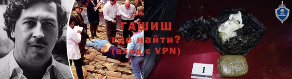 прущие грибы Магас