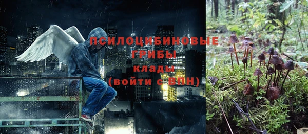 прущие грибы Магас