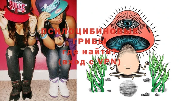 прущие грибы Магас