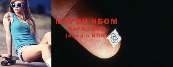 прущие грибы Магас