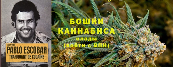 прущие грибы Магас