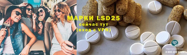 прущие грибы Магас