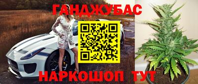 прущие грибы Гусь-Хрустальный