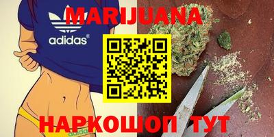 прущие грибы Гусь-Хрустальный