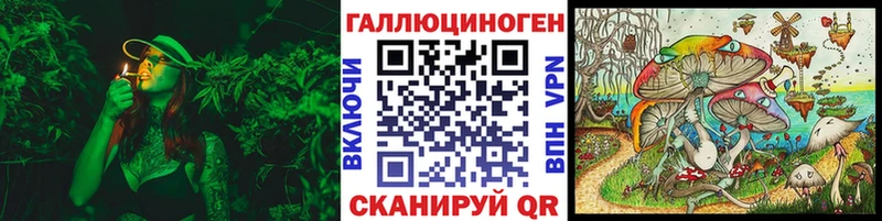 Галлюциногенные грибы GOLDEN TEACHER  хочу   Назрань 