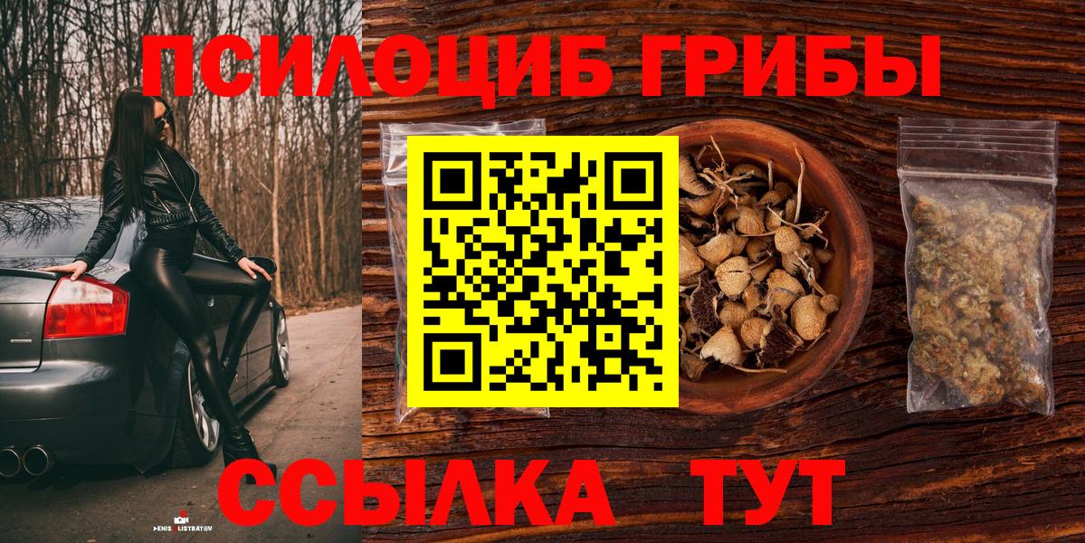 Назрань  Псилоцибиновые грибы Psilocybine cubensis  Вход с VPN 